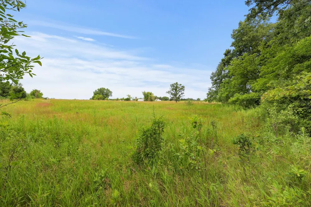 TBD 350th Street Shafer, MN 55074