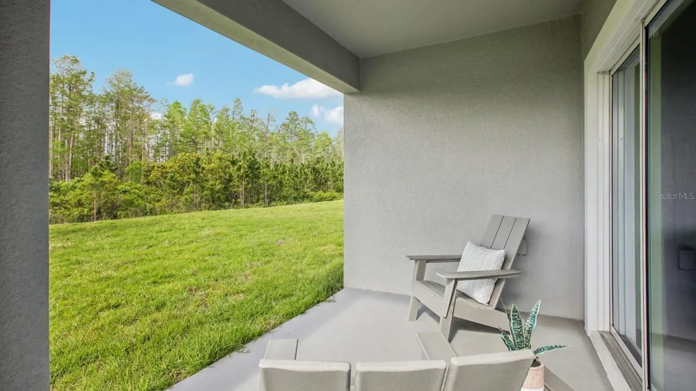 15018 CROSSHALL STREAM DRIVE Wimauma, FL 33598