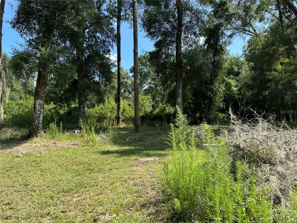 11882 SW 58TH STREET Webster, FL 33597