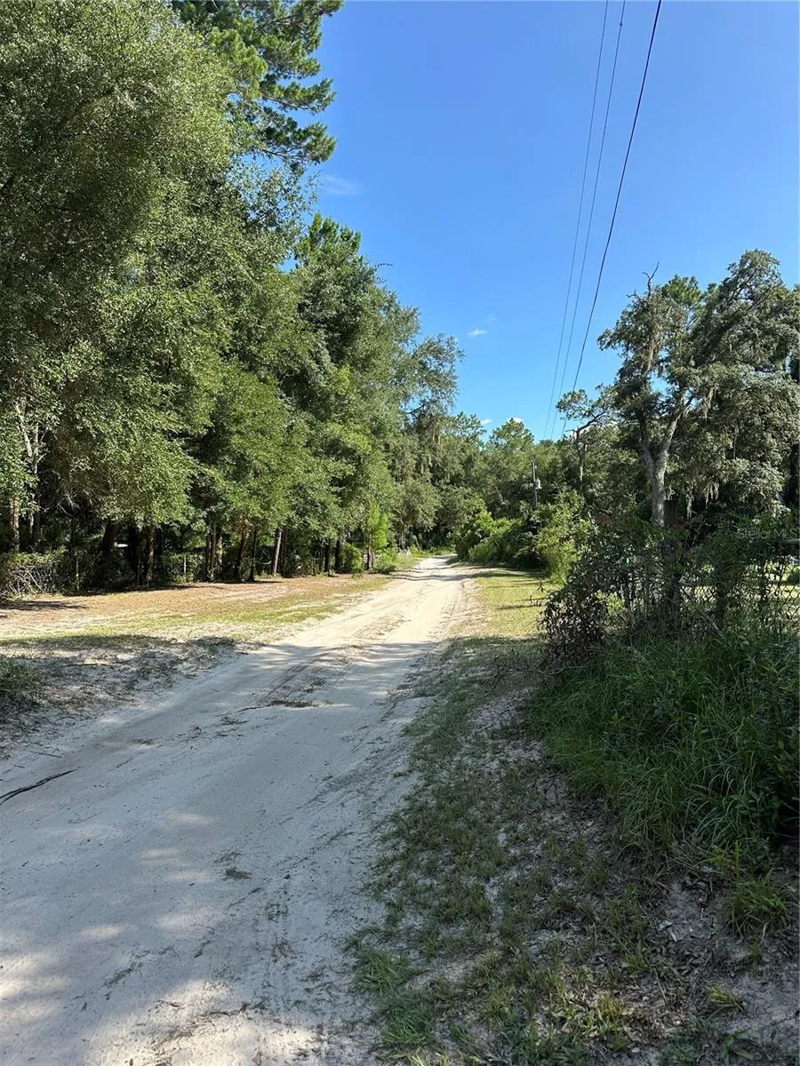 11882 SW 58TH STREET Webster, FL 33597