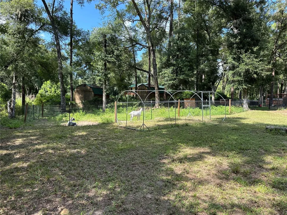 11882 SW 58TH STREET Webster, FL 33597