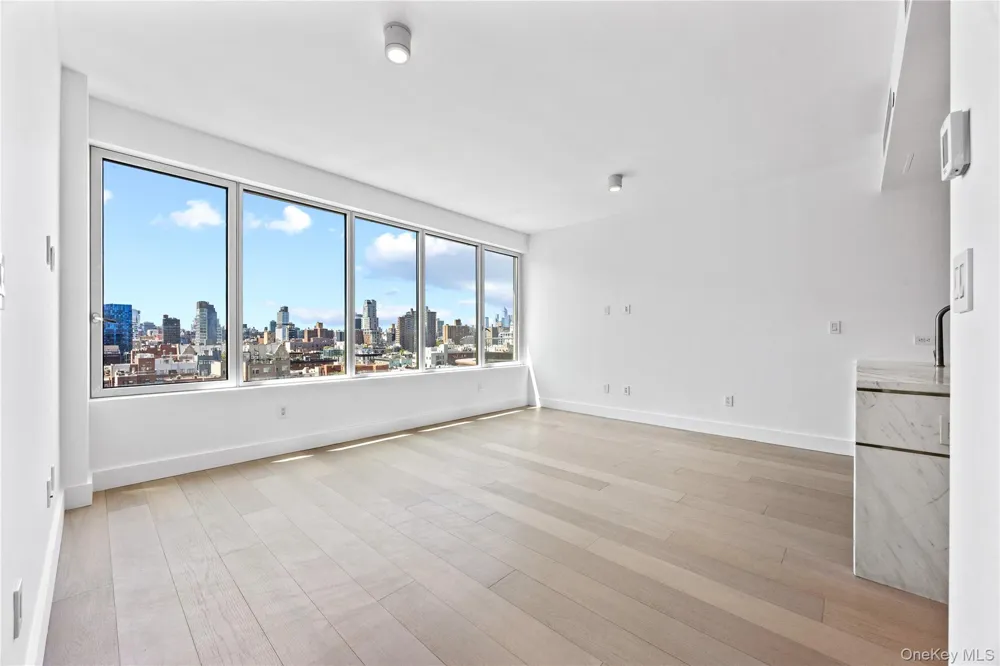 208 Delancey Street #PH3 New York (Manhattan), NY 10002