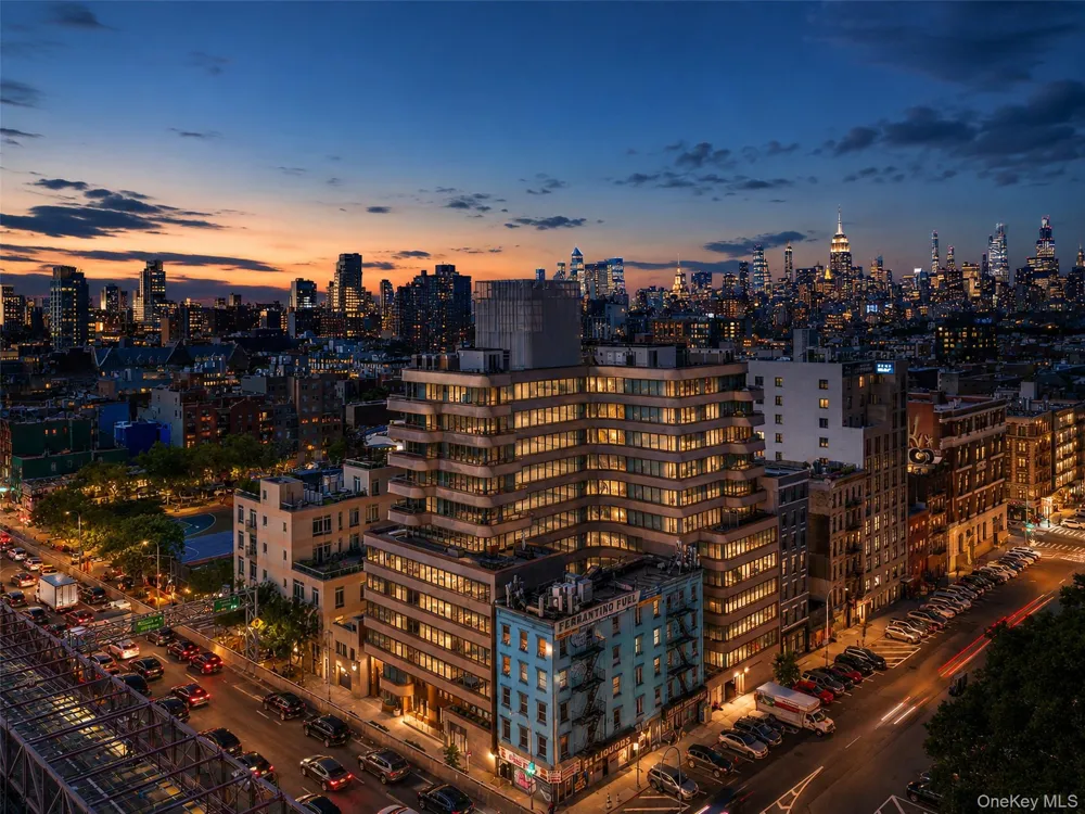 208 Delancey Street #PH3 New York (Manhattan), NY 10002