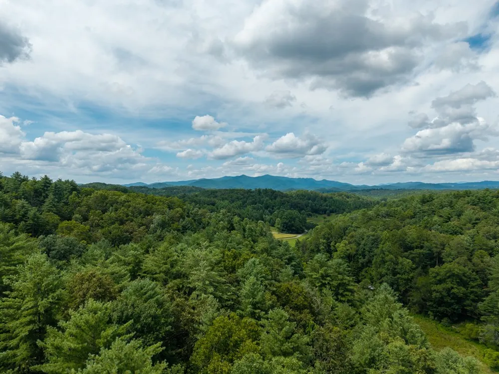0 White Pine Road McCaysville, GA 30555