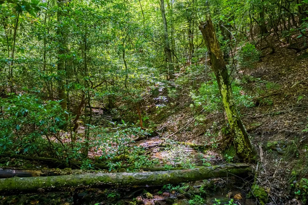 0 White Pine Road McCaysville, GA 30555