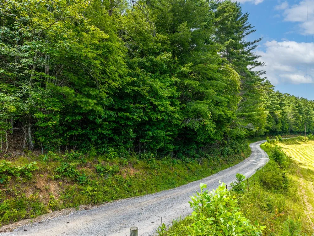 0 White Pine Road McCaysville, GA 30555