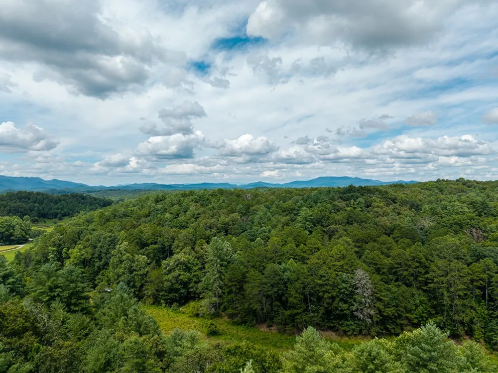 0 White Pine Road McCaysville, GA 30555