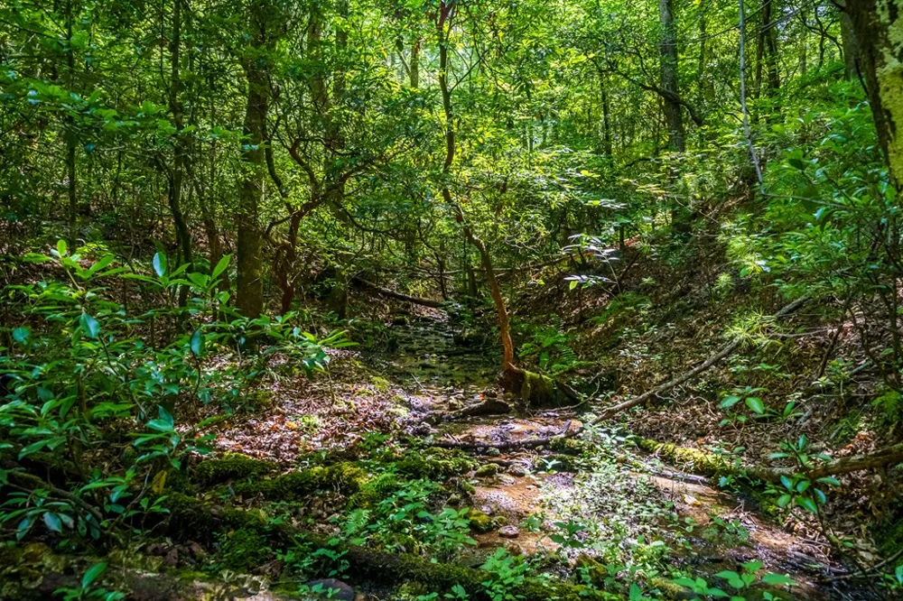 0 White Pine Road McCaysville, GA 30555