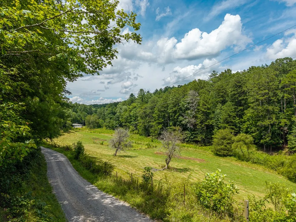 0 White Pine Road McCaysville, GA 30555