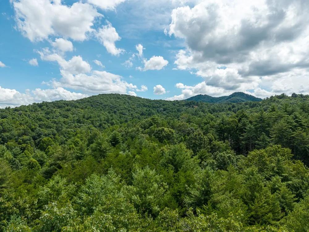0 White Pine Road McCaysville, GA 30555