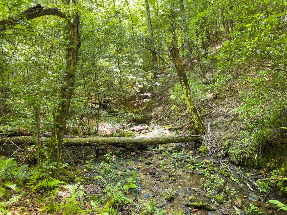 0 White Pine Road McCaysville, GA 30555
