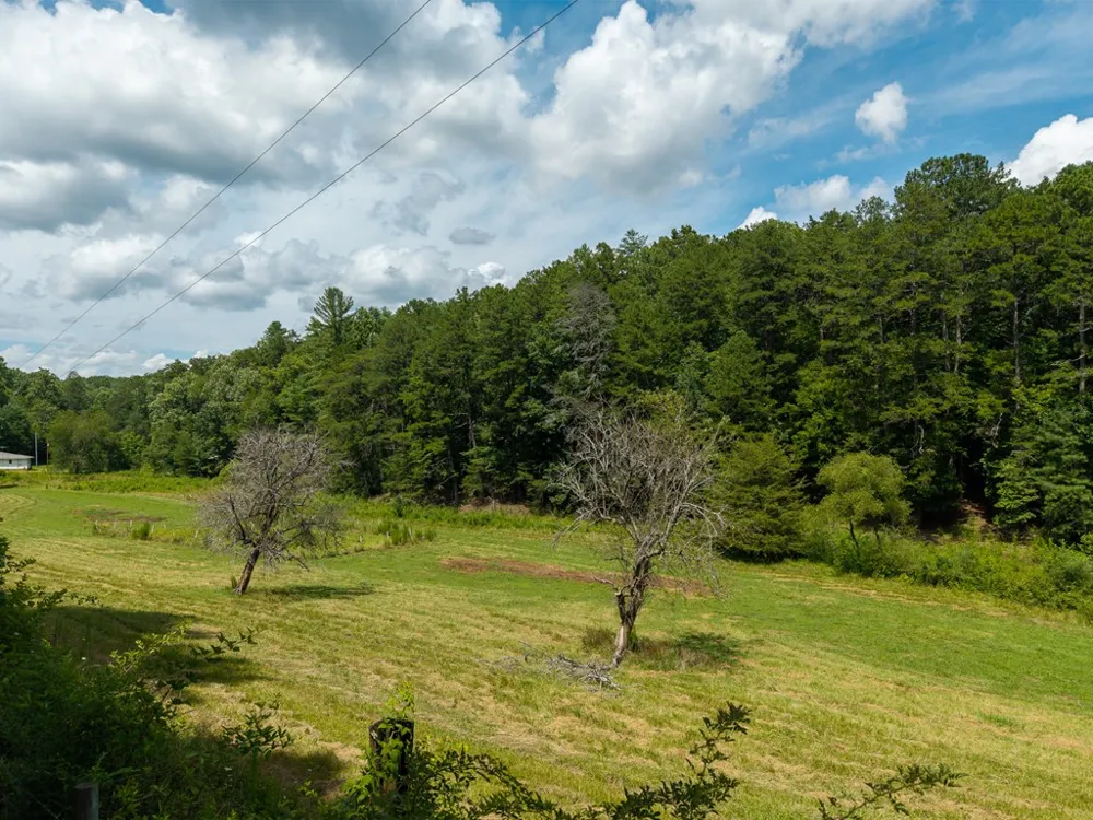 0 White Pine Road McCaysville, GA 30555