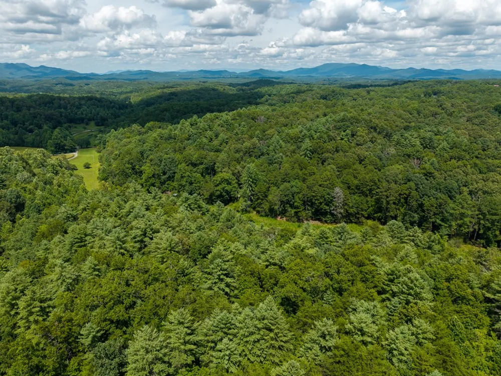 0 White Pine Road McCaysville, GA 30555