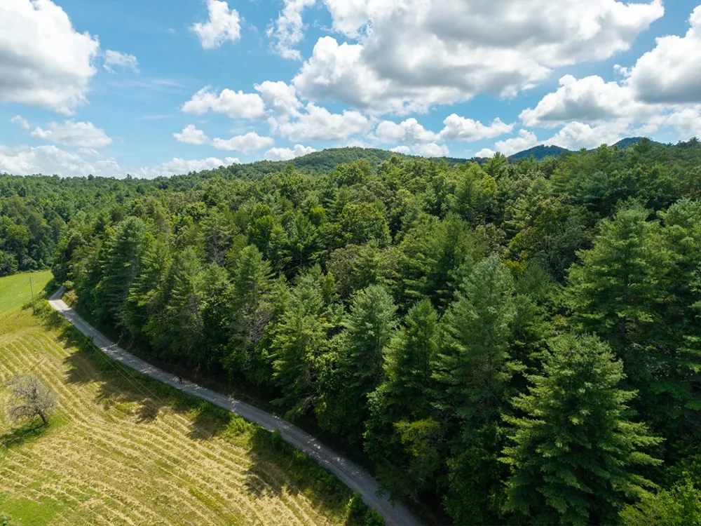 0 White Pine Road McCaysville, GA 30555