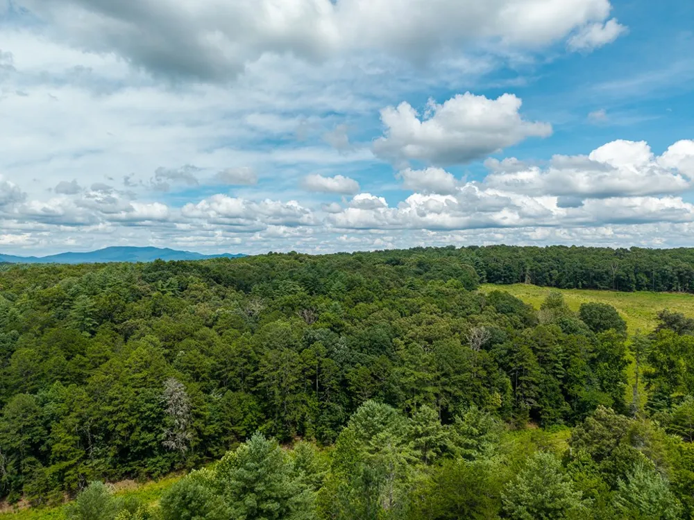0 White Pine Road McCaysville, GA 30555