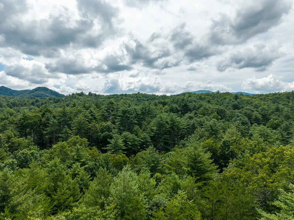 0 White Pine Road McCaysville, GA 30555