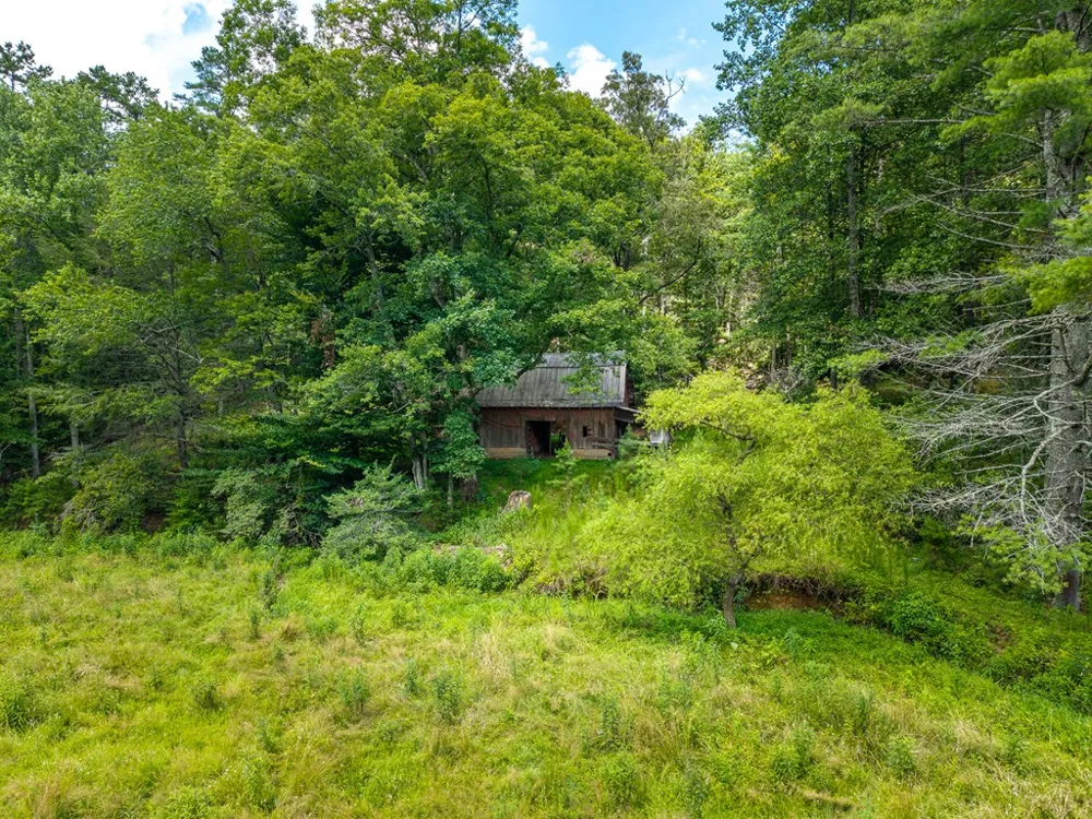 0 White Pine Road McCaysville, GA 30555