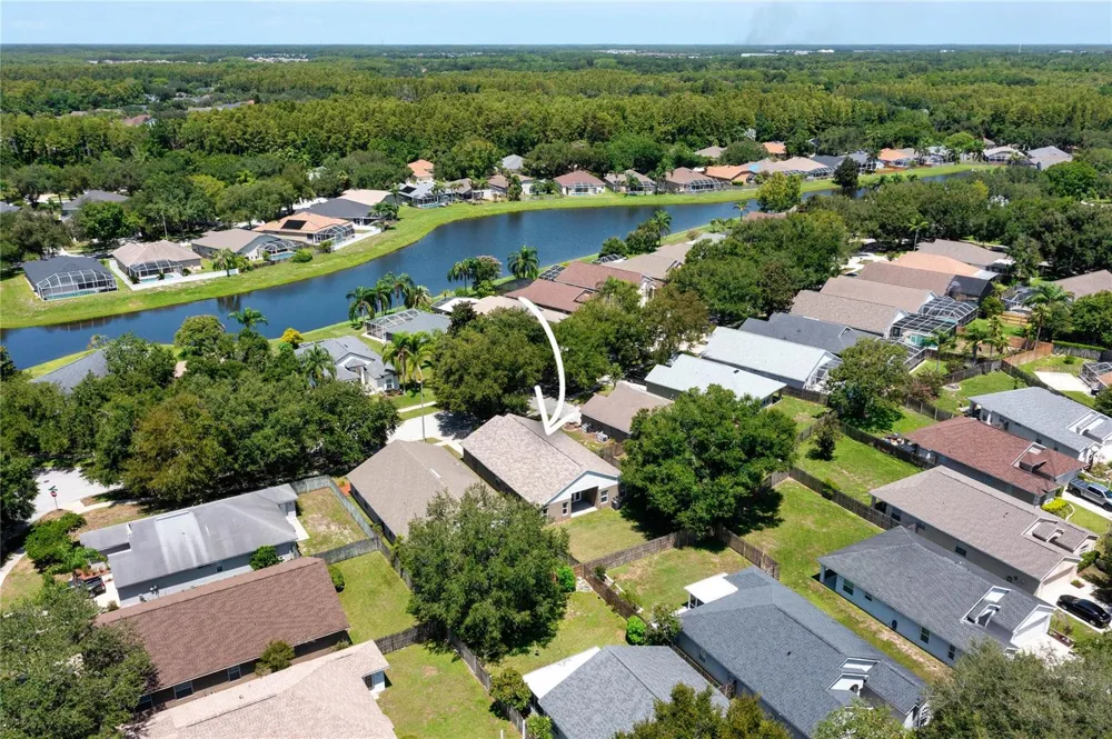 19520 MORDEN BLUSH DRIVE Lutz, FL 33558