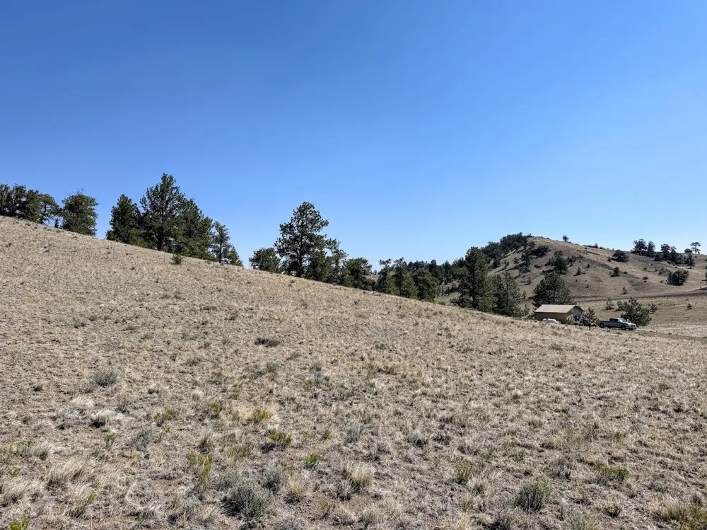 Falcon Road Hartsel, CO 80449
