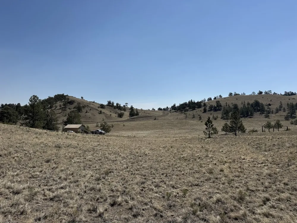 Falcon Road Hartsel, CO 80449