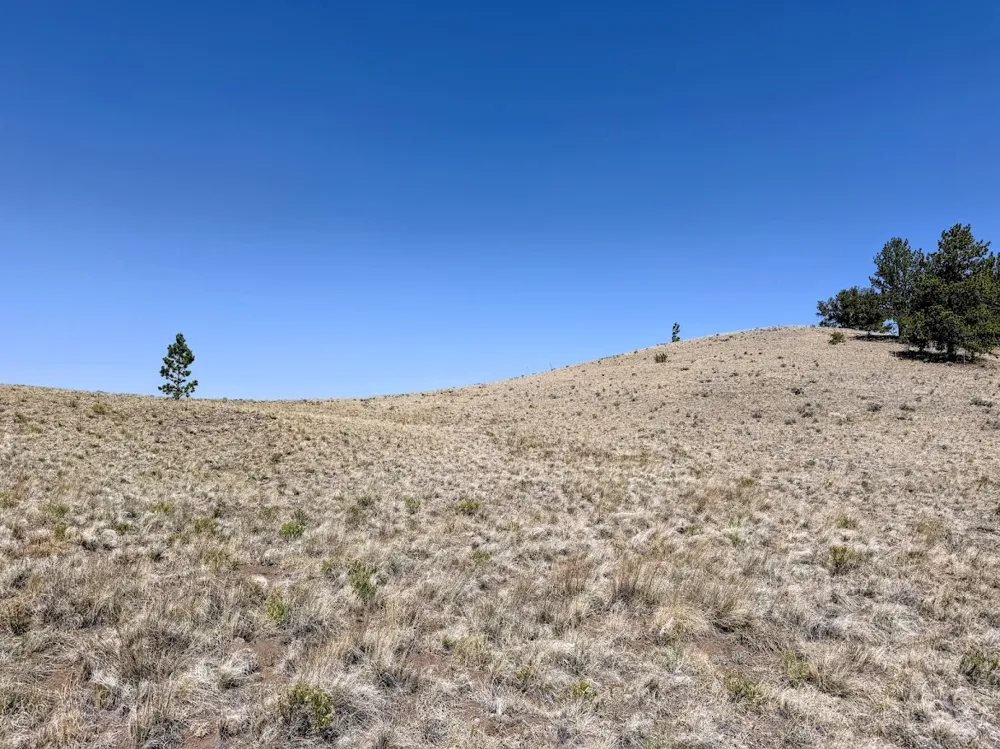 Falcon Road Hartsel, CO 80449