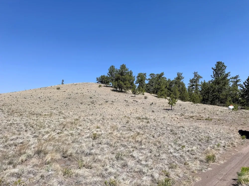 Falcon Road Hartsel, CO 80449