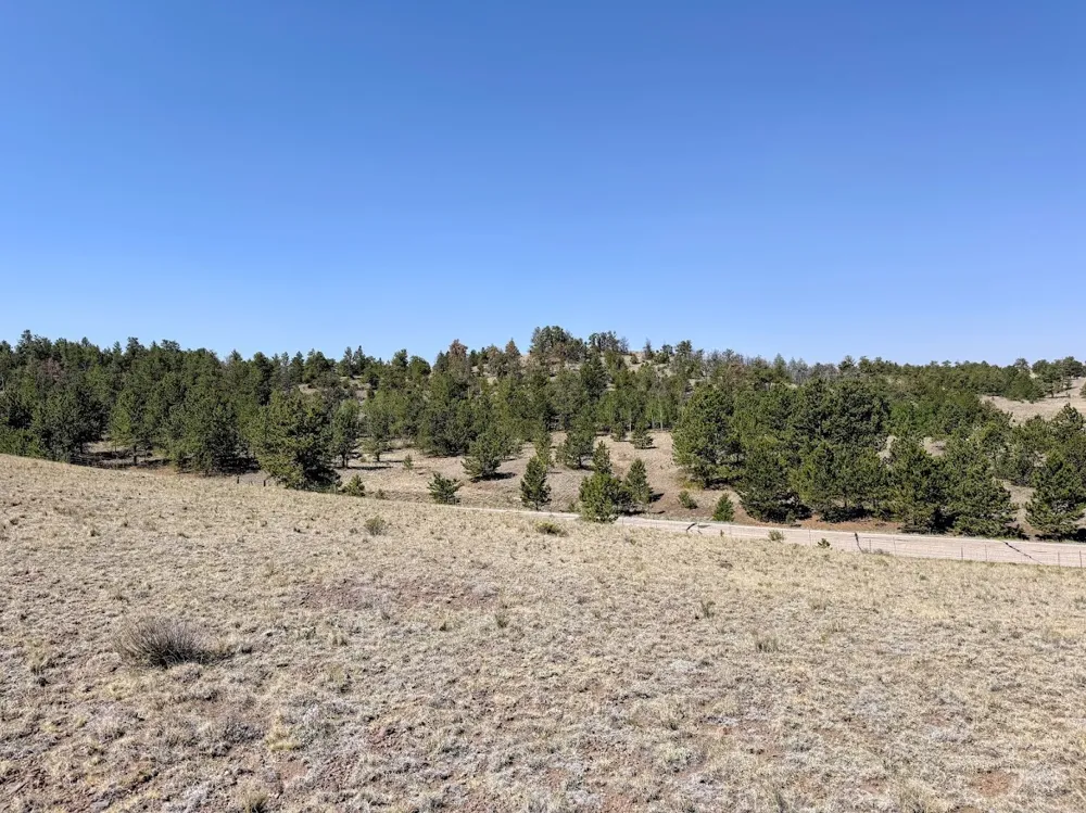 Falcon Road Hartsel, CO 80449