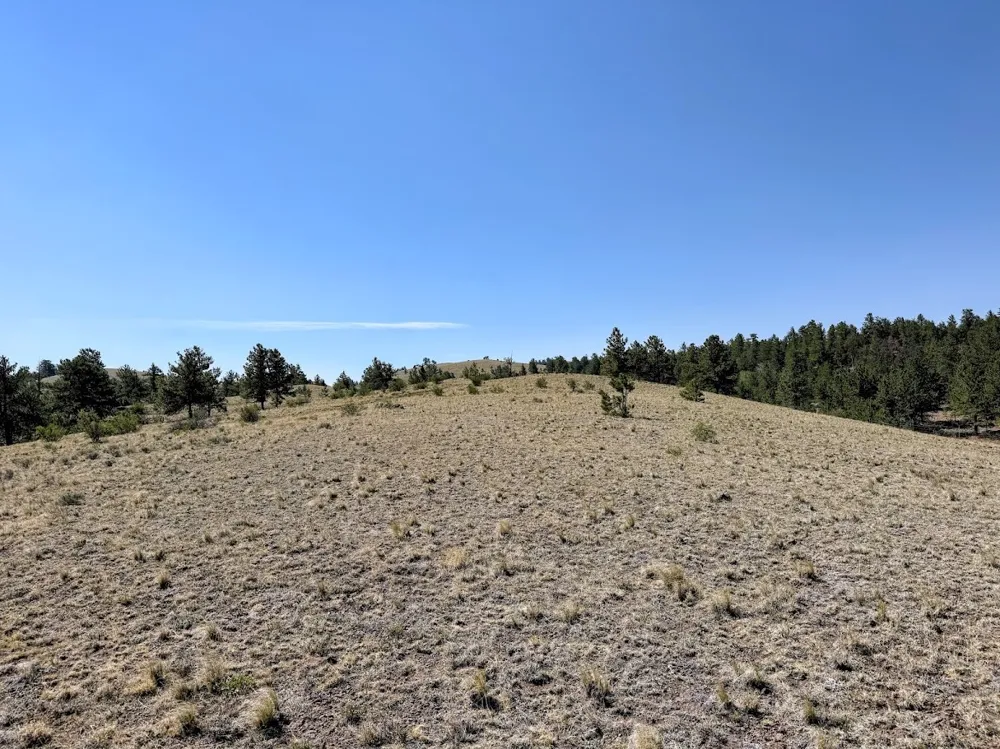 Falcon Road Hartsel, CO 80449