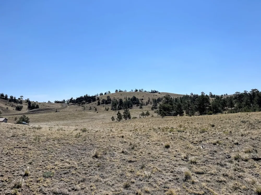 Falcon Road Hartsel, CO 80449