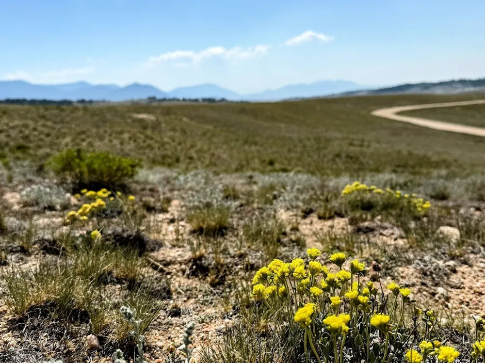 609 Commanche Trail Hartsel, CO 80449