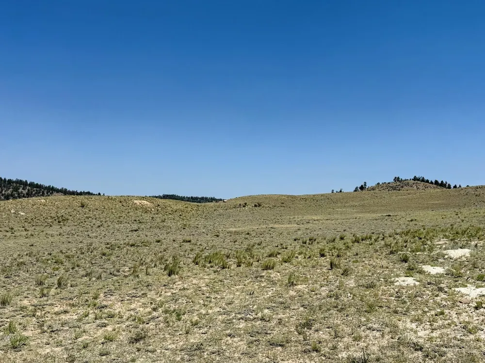 609 Commanche Trail Hartsel, CO 80449