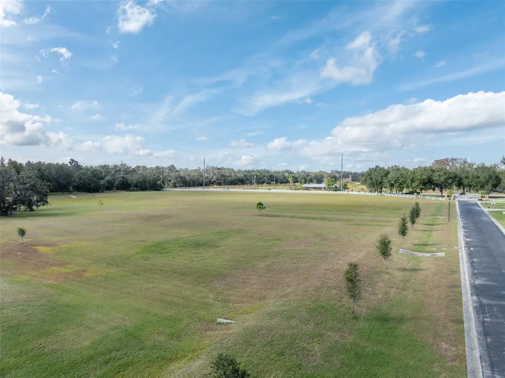 103 ALAFIA ESTATES LANE Plant City, FL 33567