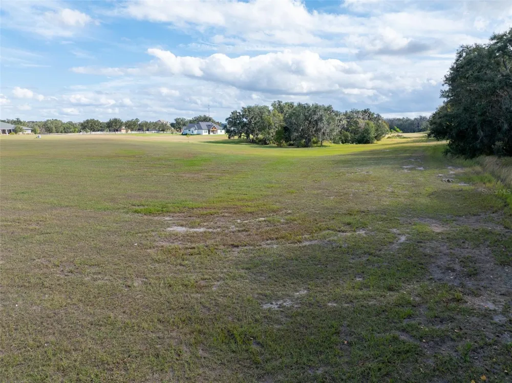 103 ALAFIA ESTATES LANE Plant City, FL 33567
