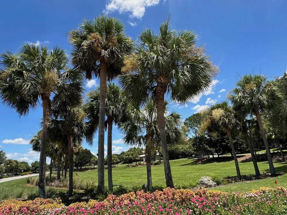 8394 SW 82ND LOOP ocala, FL 34481