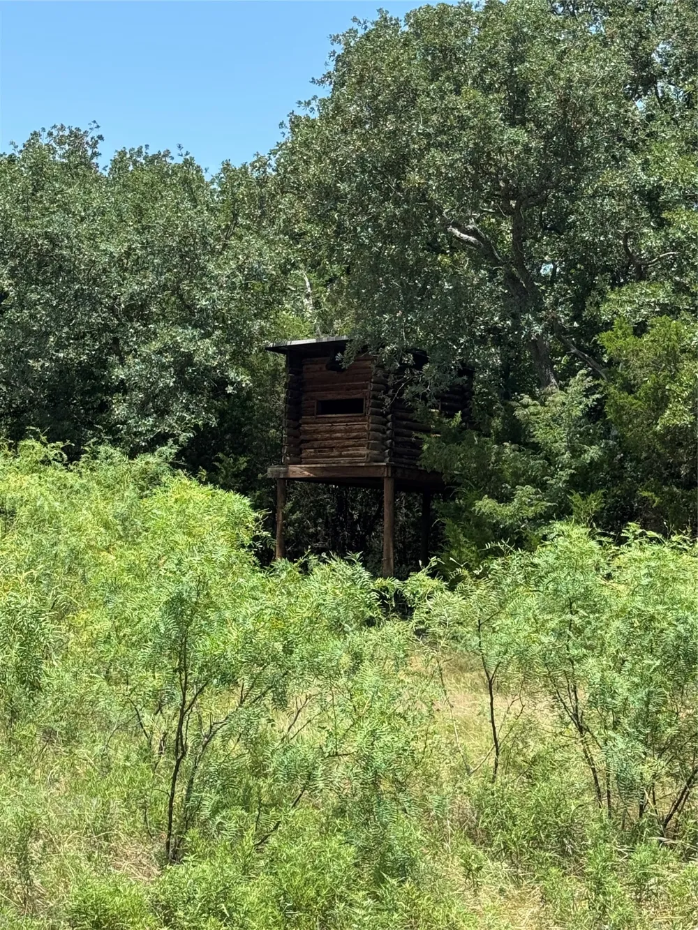 1205 Northshore Lane Valley View, TX 76272
