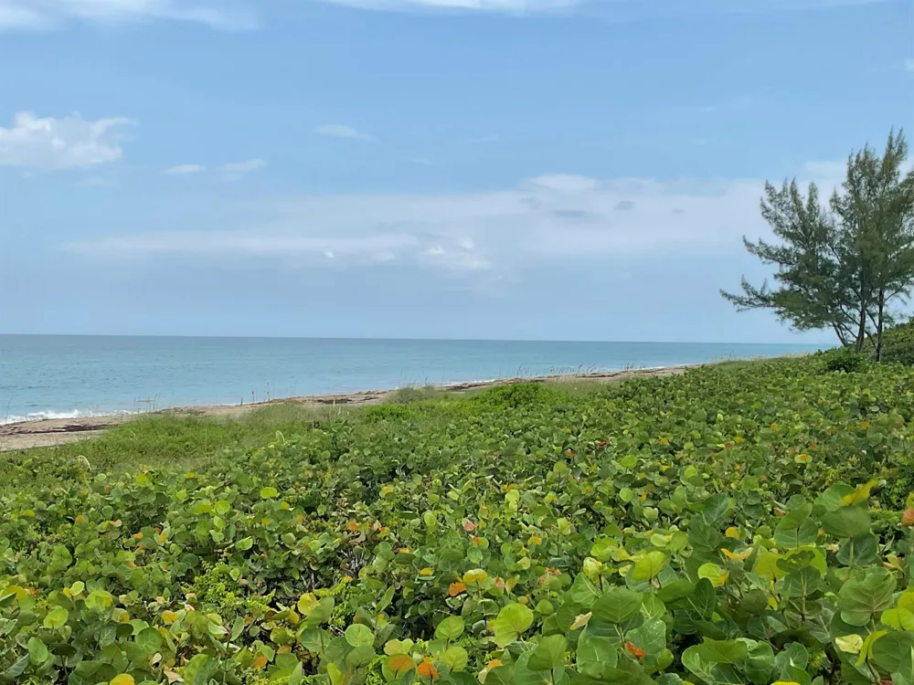 11000 S OCEAN DRIVE #2-9 Jensen Beach, FL 34957