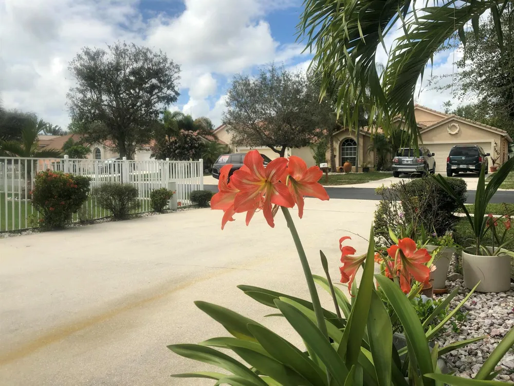 139 PRESERVE DRIVE Royal Palm Beach, FL 33411