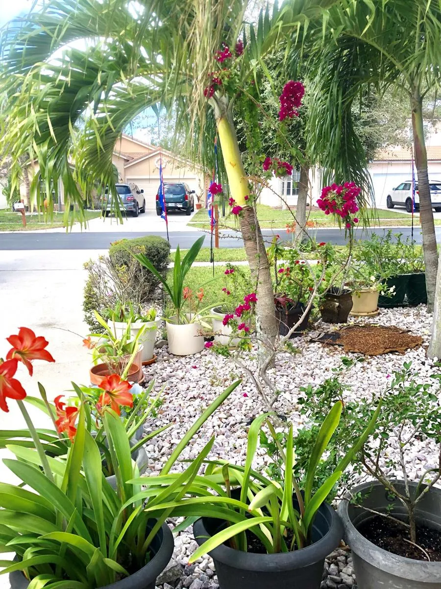 139 PRESERVE DRIVE Royal Palm Beach, FL 33411