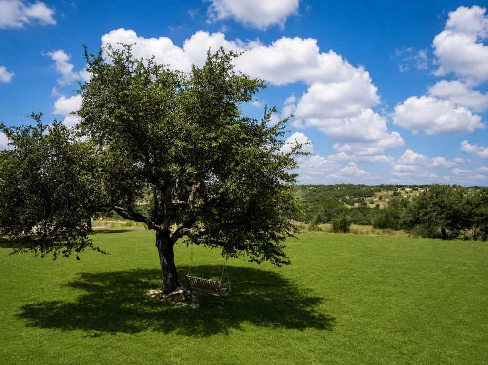 1516 E Flying Owl Drive Johnson City, TX 78636