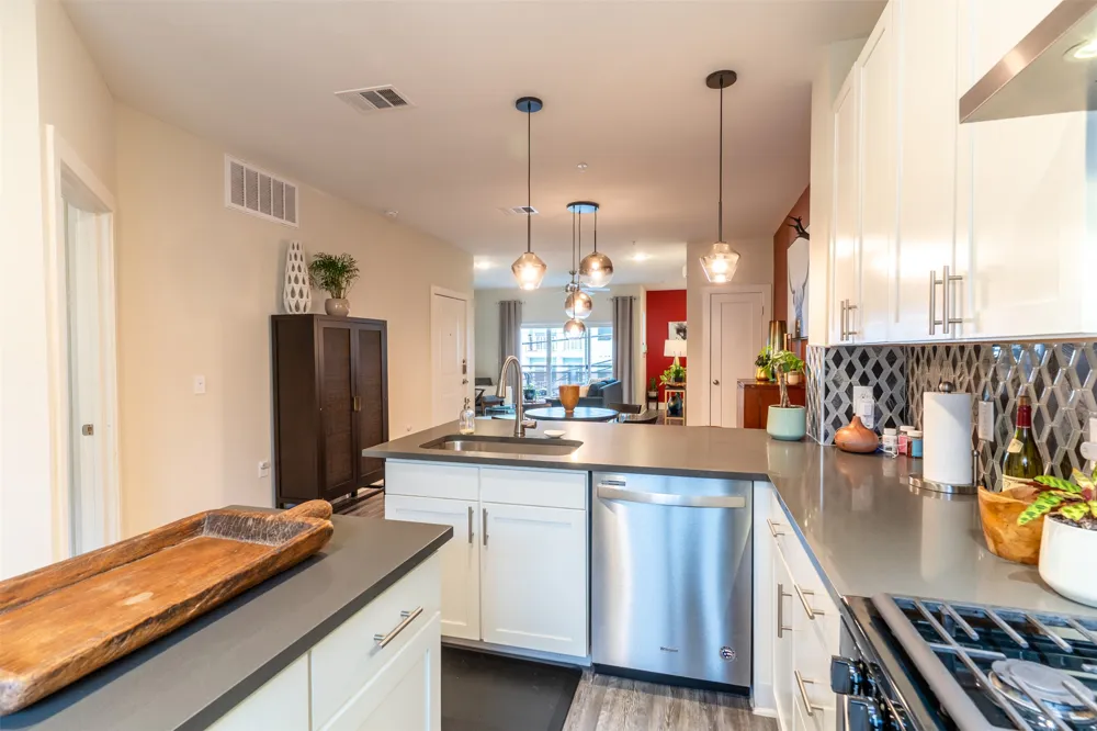2827 Manor Road #2202 Austin, TX 78722