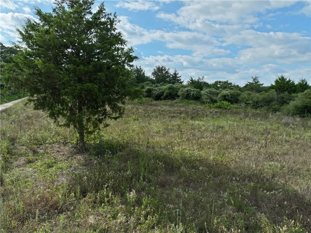 5 Fir Drive Caldwell, TX 77836