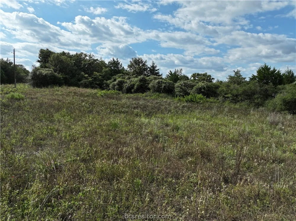 Fir Drive Caldwell, TX 77836