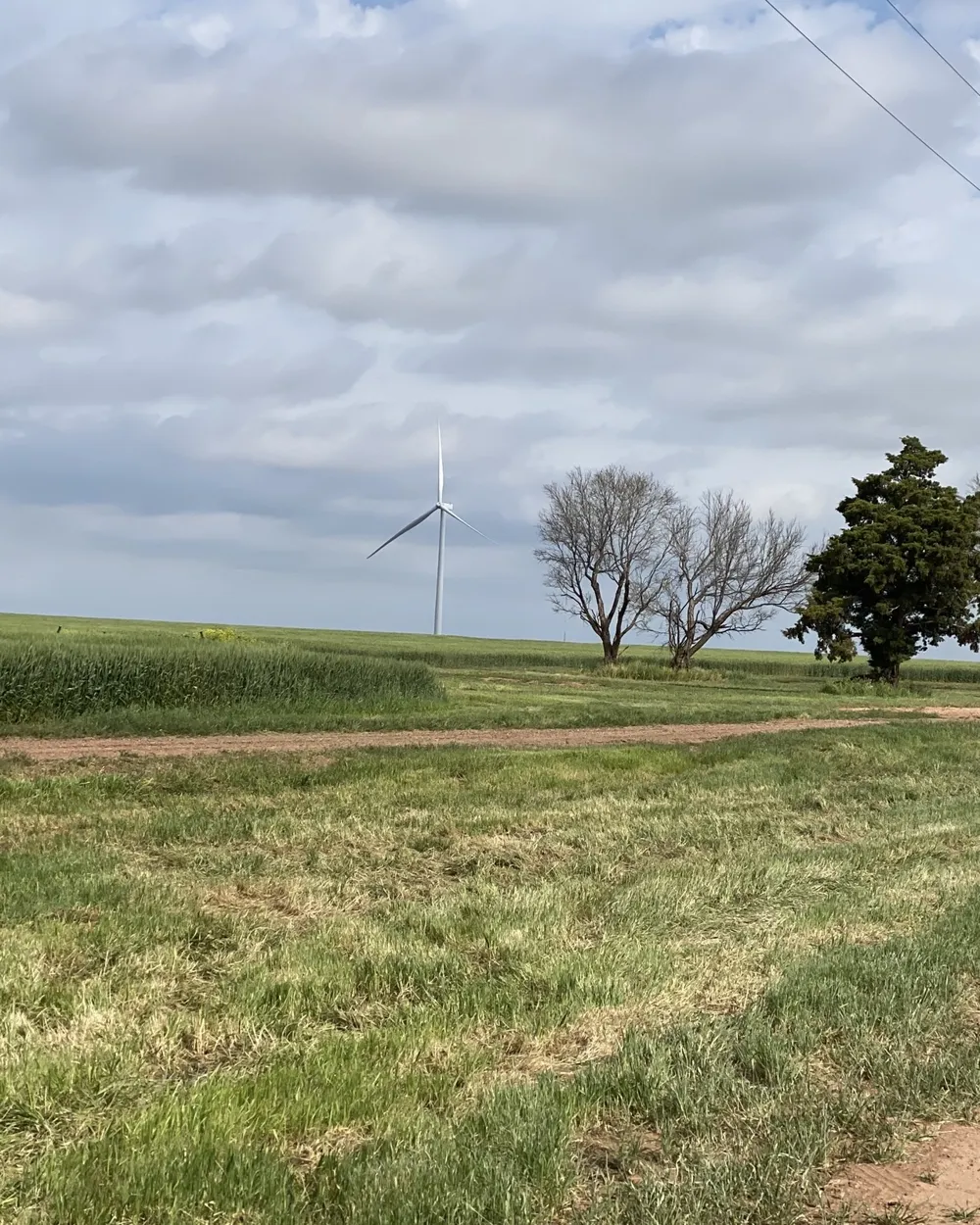 2406 Fm-1080 Weinert, TX 76388