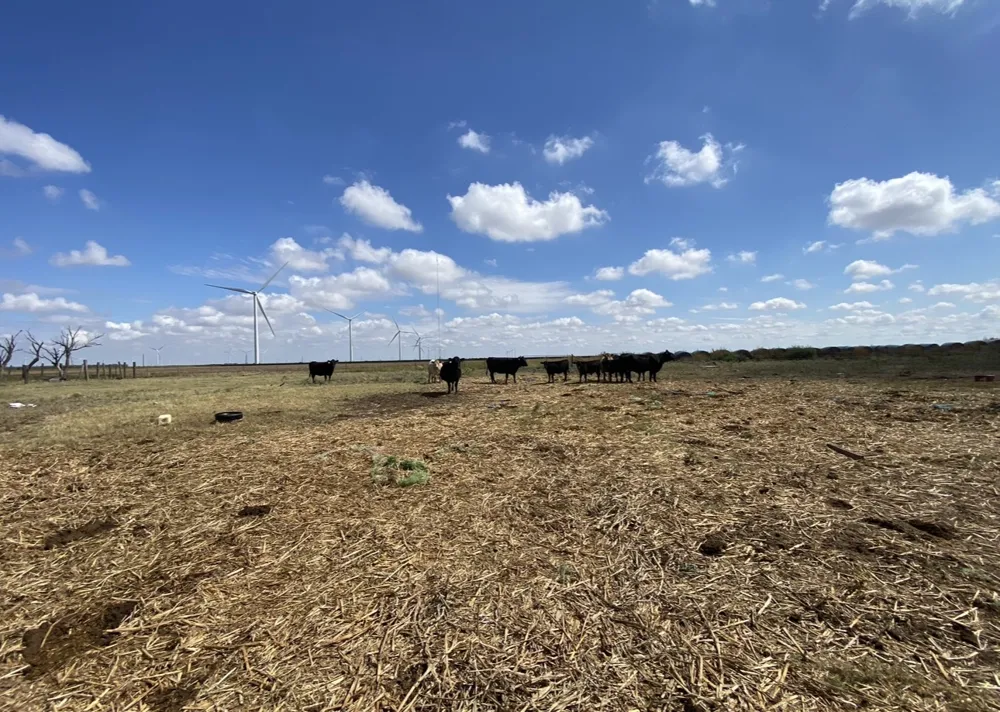 2406 Fm-1080 Weinert, TX 76388
