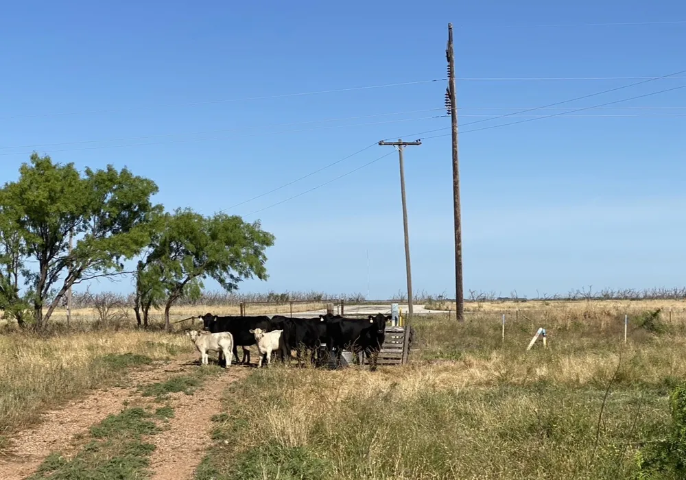 2406 Fm-1080 Weinert, TX 76388