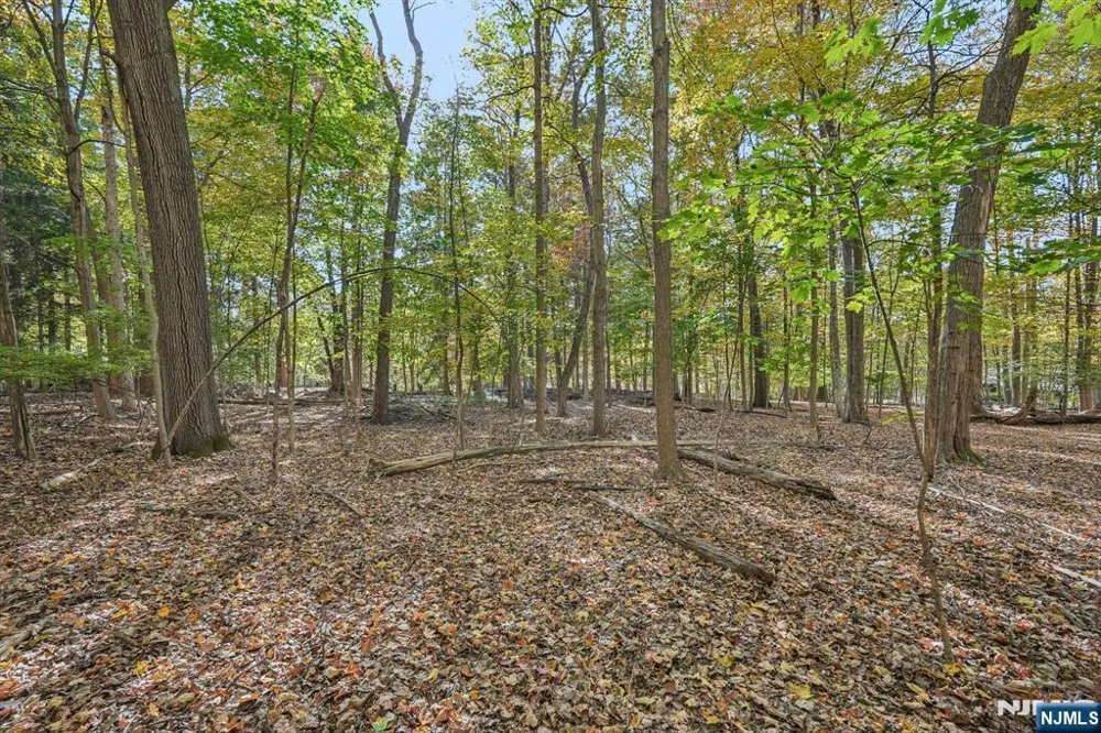 59 Old Stone Church Road Upper Saddle River, NJ 07458