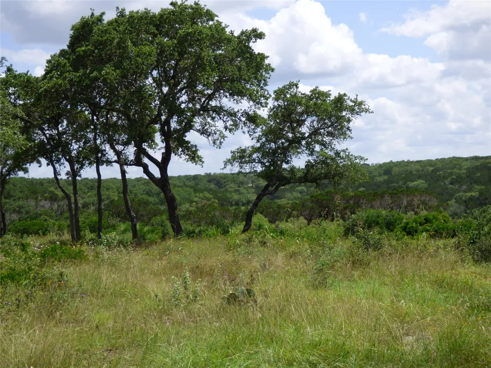 5771 Hilliard Road San Marcos, TX 78666