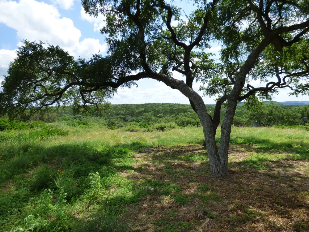 5771 Hilliard Road San Marcos, TX 78666