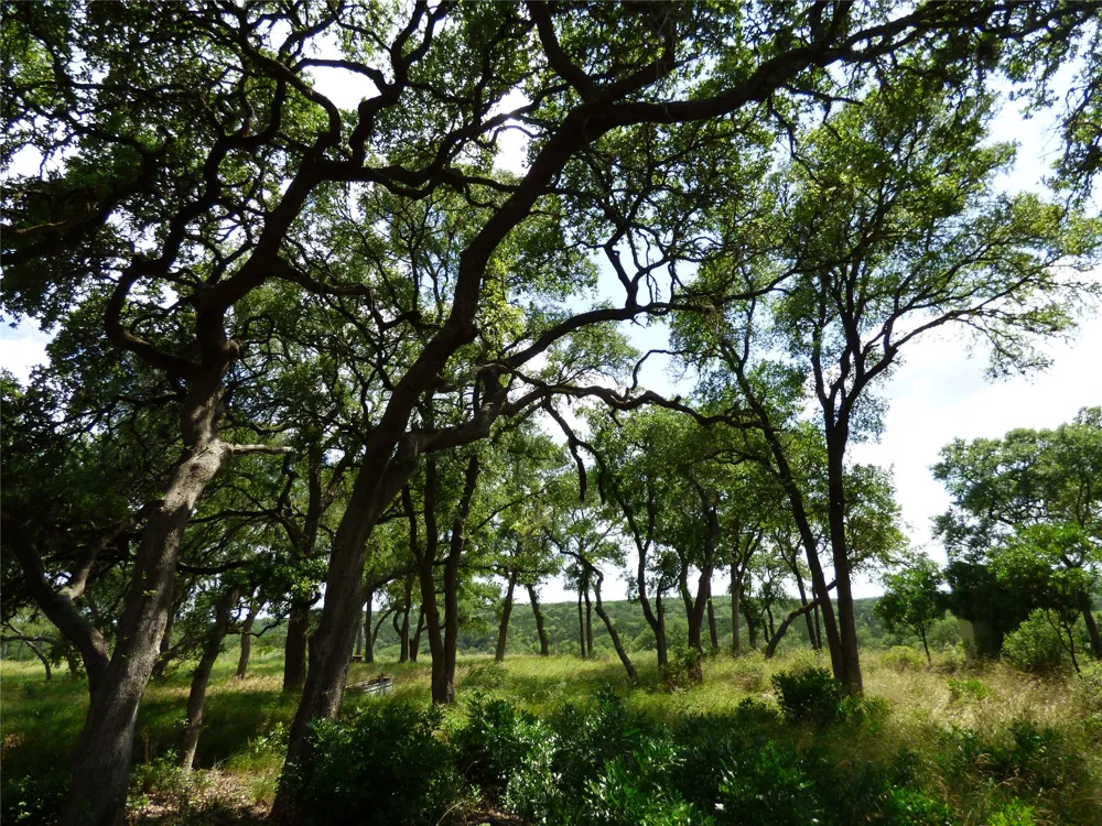 5771 Hilliard Road San Marcos, TX 78666