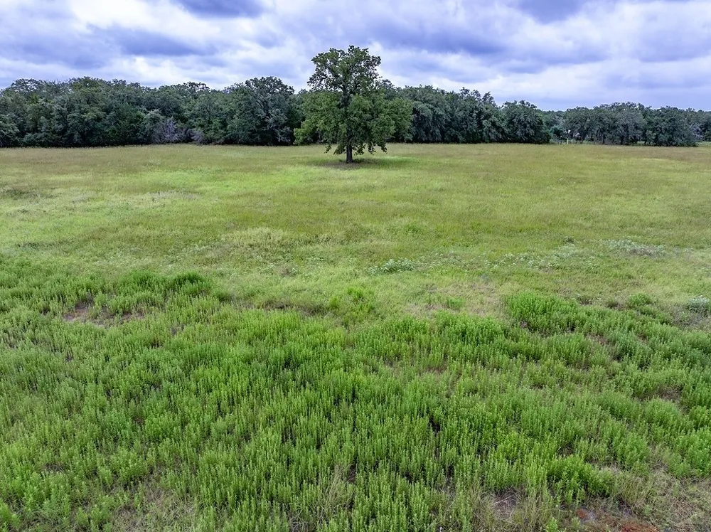 4 Feder Way West Point, TX 78963